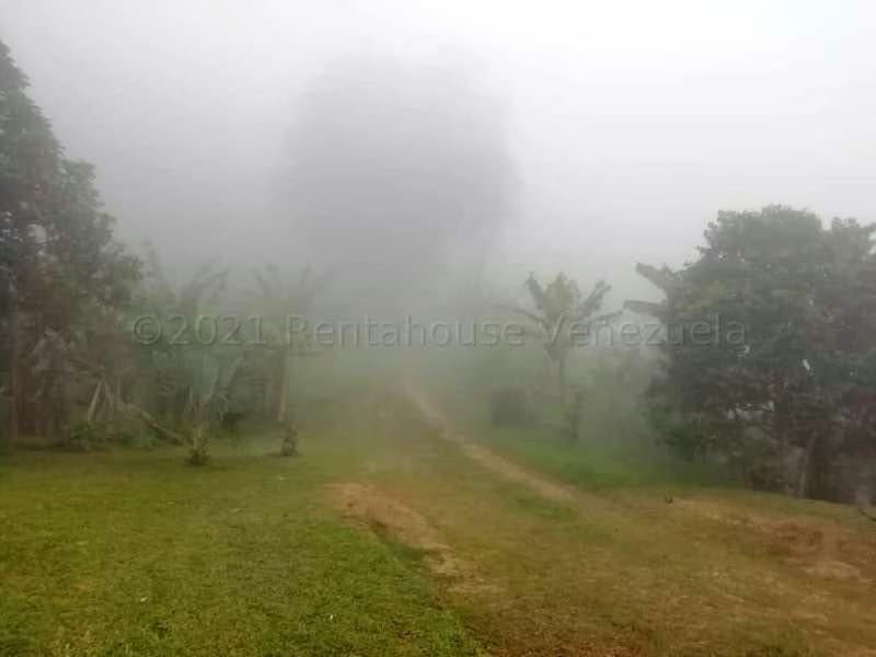 Terreno (Finca) en Venta en Canoabo, Carabobo - 37