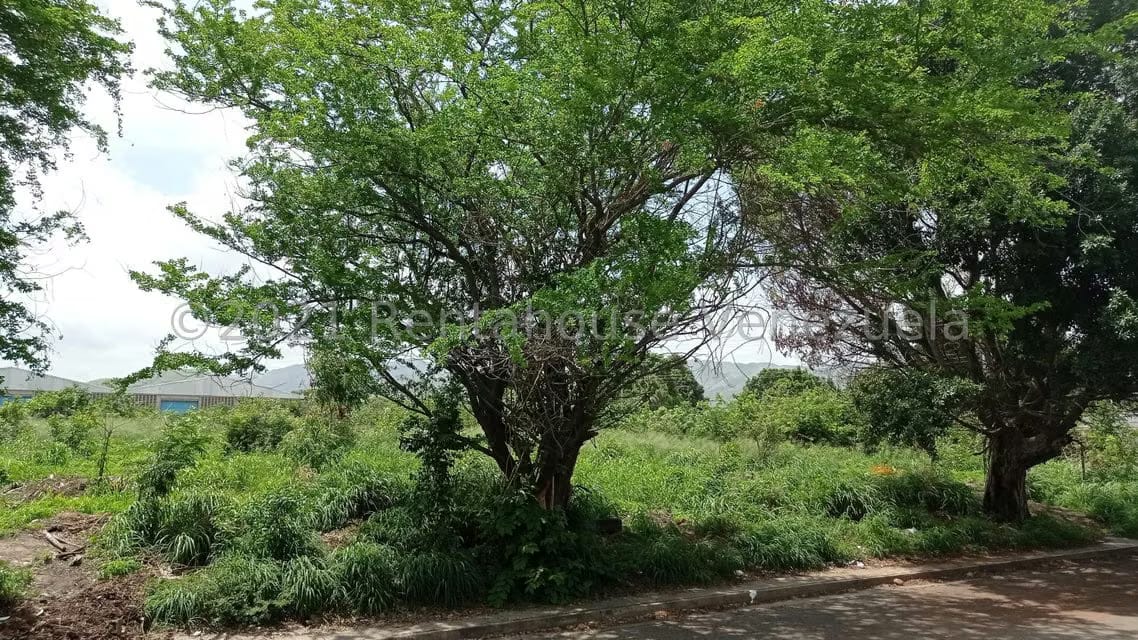 Terreno (Industrial) en Venta en Corinsa, Aragua - 11