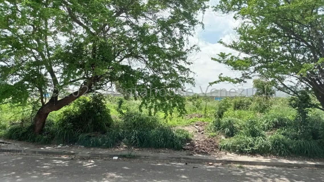 Terreno (Industrial) en Venta en Corinsa, Aragua - 12