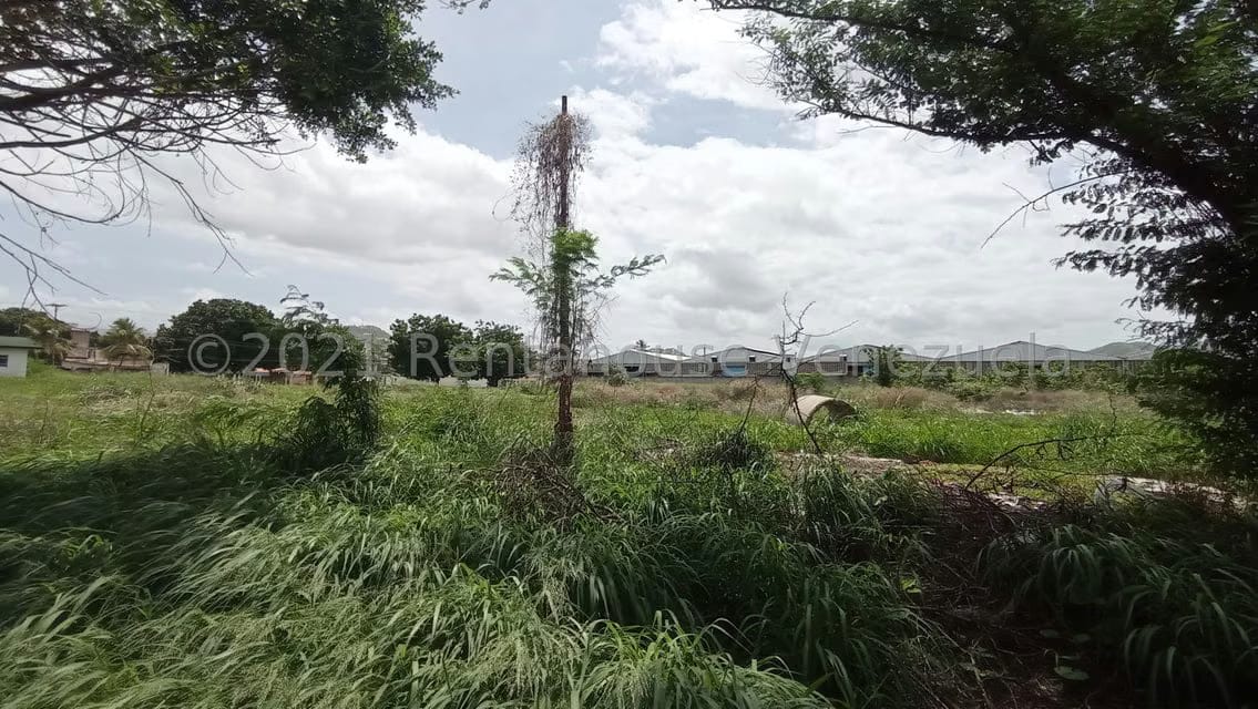 Terreno (Industrial) en Venta en Corinsa, Aragua - 15