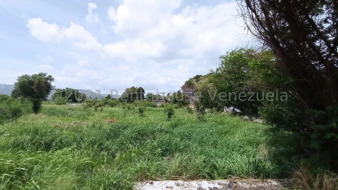 Terreno (Industrial) en Venta en Corinsa, Aragua - 19