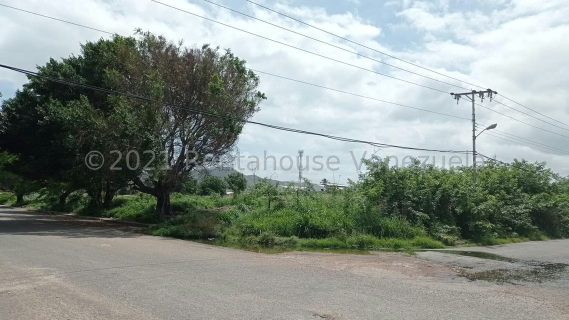 Terreno (Industrial) en Venta en Corinsa, Aragua - 3
