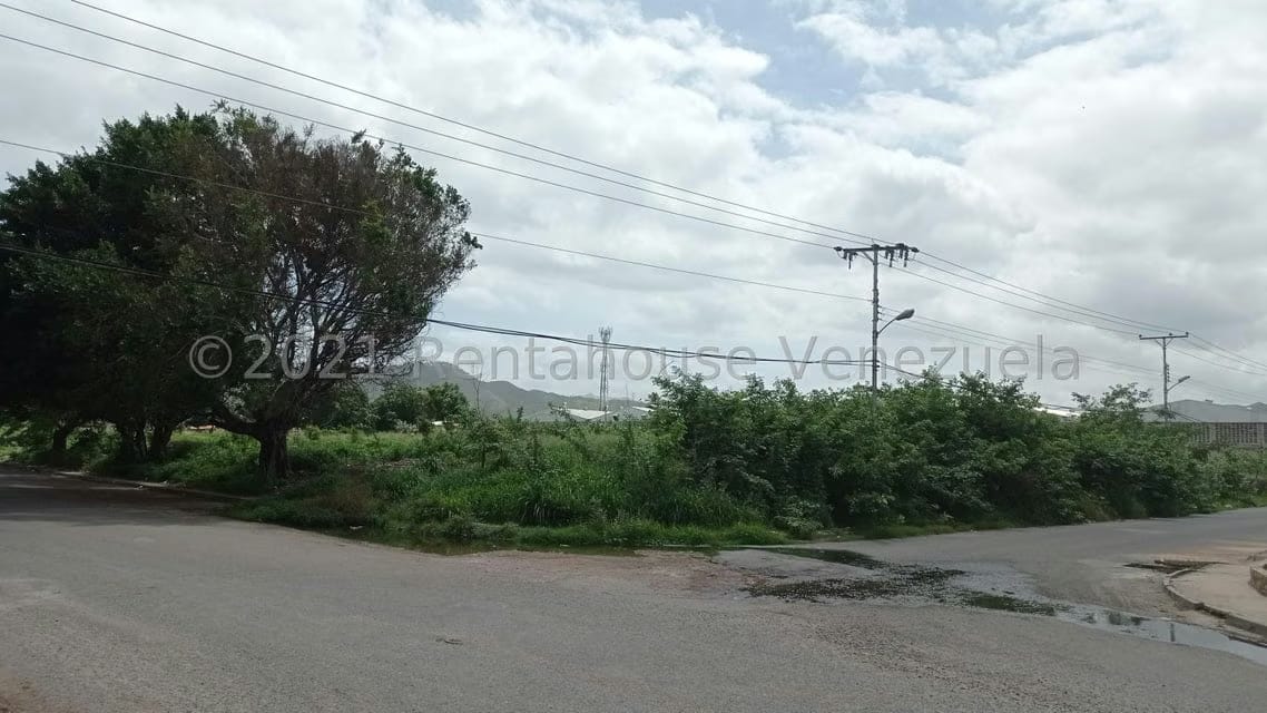 Terreno (Industrial) en Venta en Corinsa, Aragua - 4