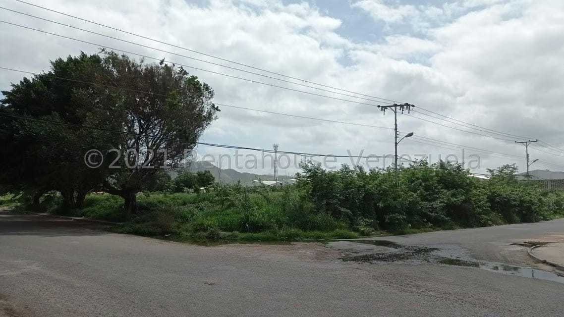 Terreno (Industrial) en Venta en Corinsa, Aragua - 5