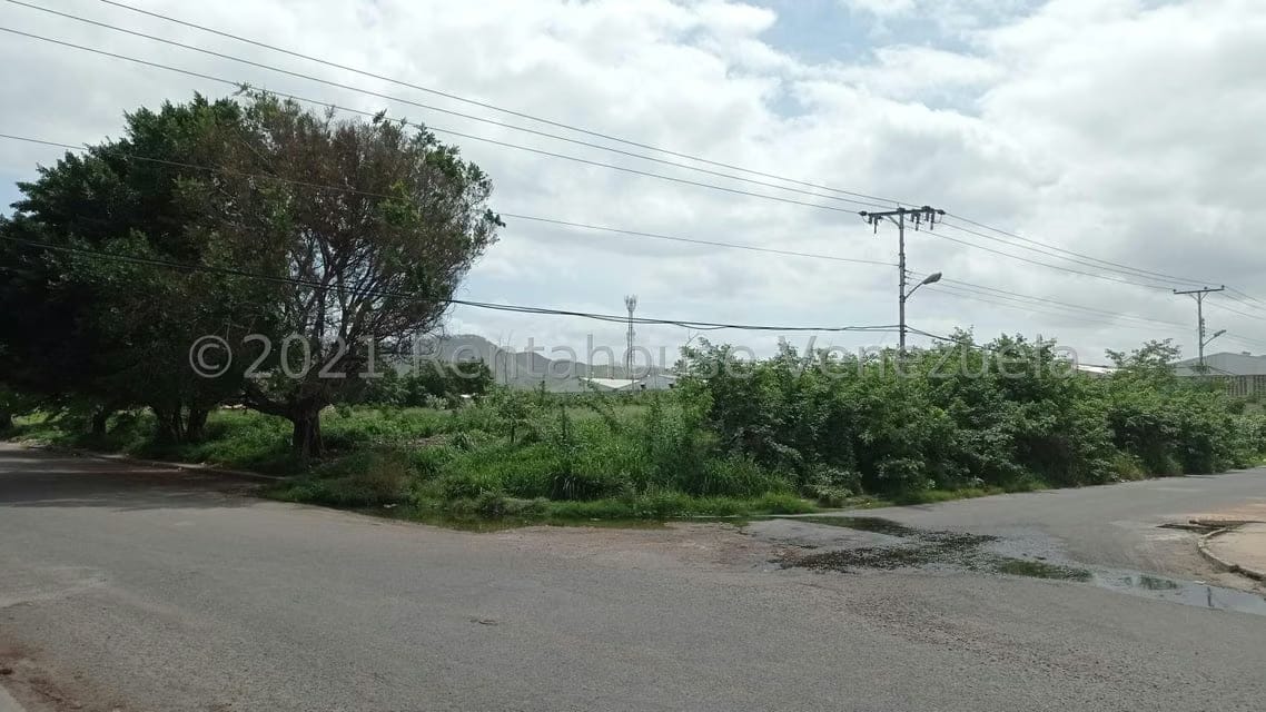 Terreno (Industrial) en Venta en Corinsa, Aragua - 6