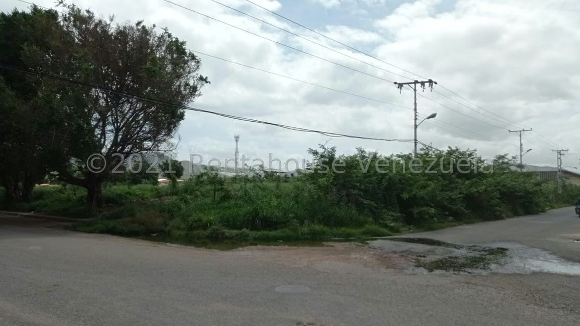 Terreno (Industrial) en Venta en Corinsa, Aragua - 8