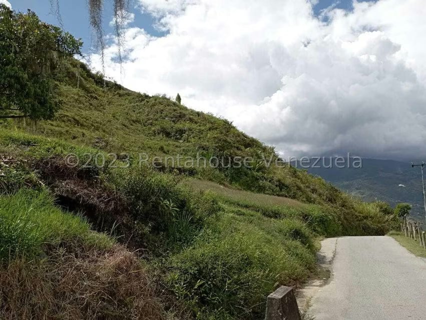 Terreno (Residencial) en Venta en El Valle, Merida - 2