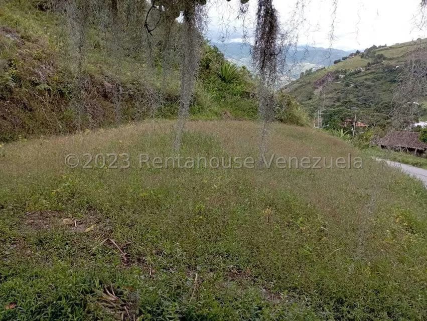 Terreno (Residencial) en Venta en El Valle, Merida - 16