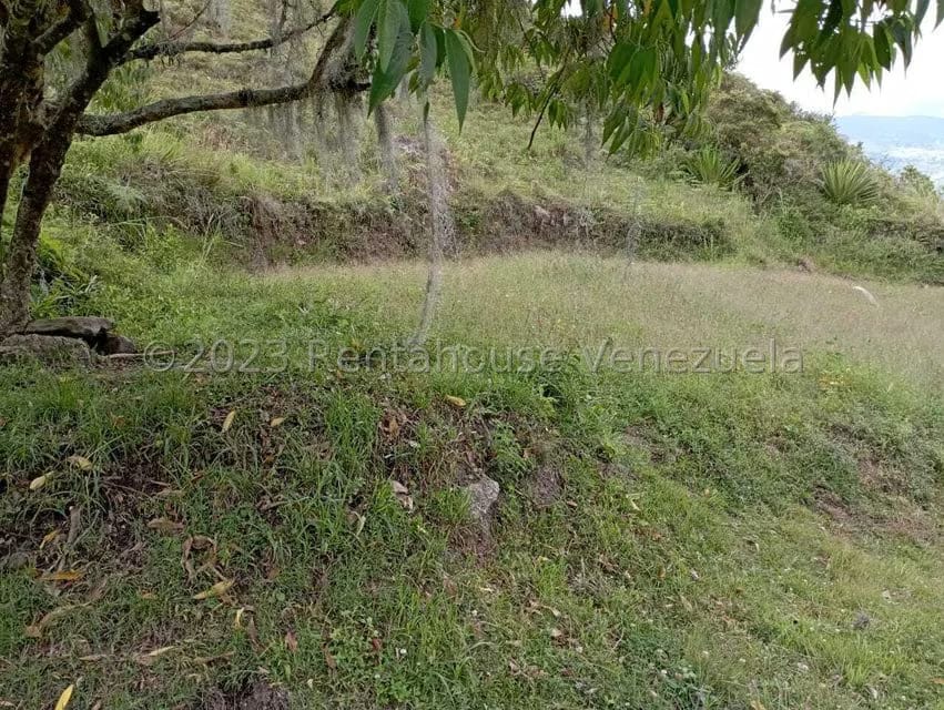 Terreno (Residencial) en Venta en El Valle, Merida - 17