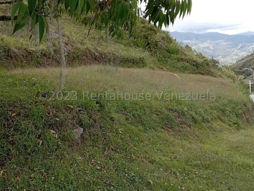 Terreno (Residencial) en Venta en El Valle, Merida - 18