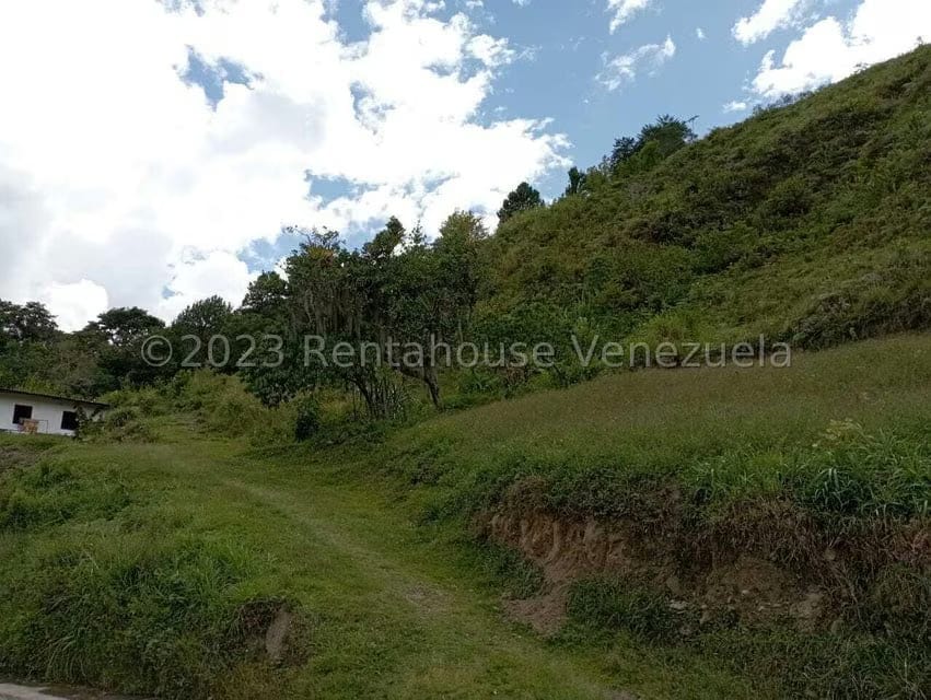 Terreno (Residencial) en Venta en El Valle, Merida - 29