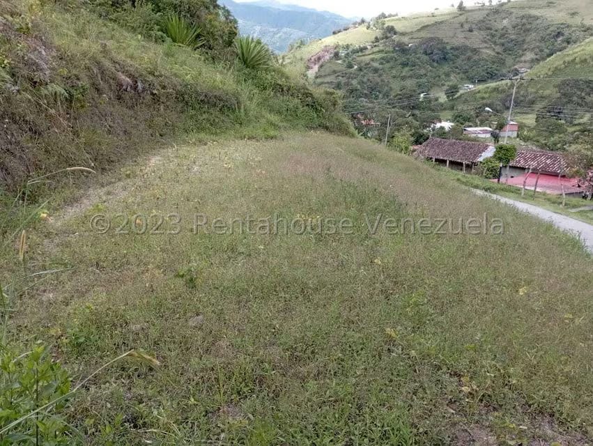 Terreno (Residencial) en Venta en El Valle, Merida - 4