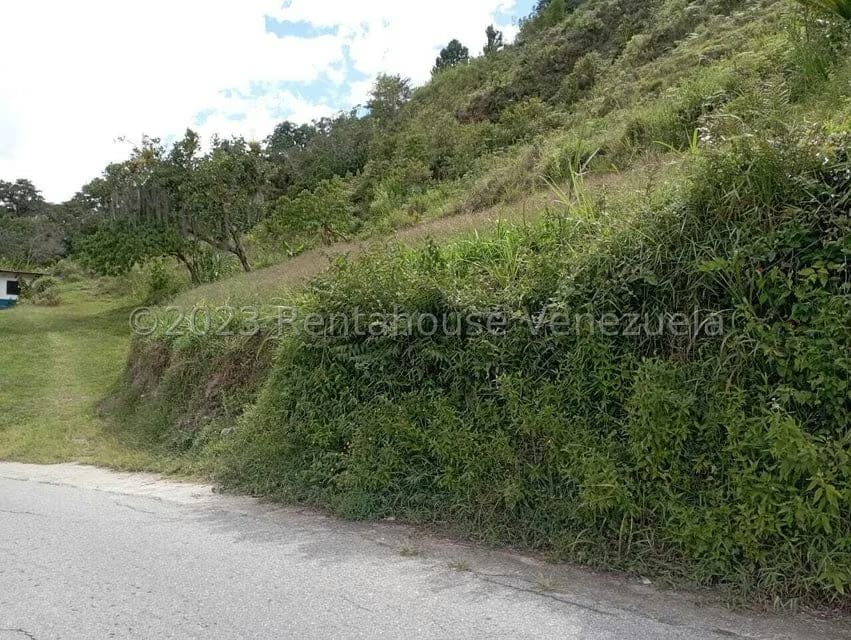 Terreno (Residencial) en Venta en El Valle, Merida - 32