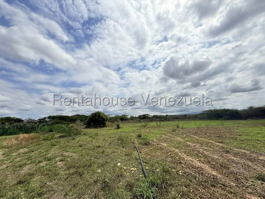Terreno (Finca) en Venta en Parroquia El Cuji, Lara - 2
