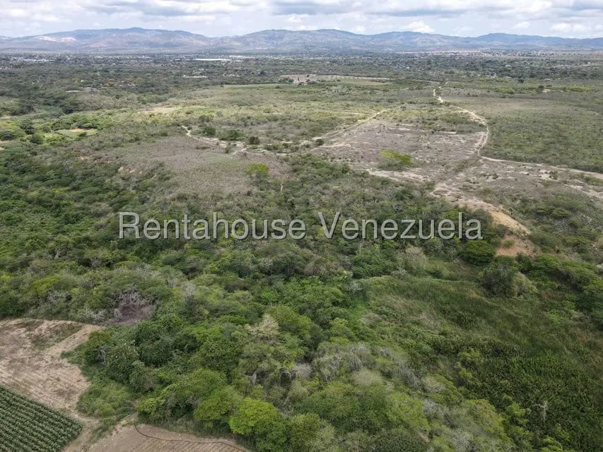 Terreno (Finca) en Venta en Parroquia El Cuji, Lara - 12