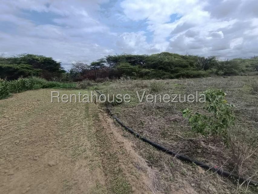 Terreno (Finca) en Venta en Parroquia El Cuji, Lara - 16