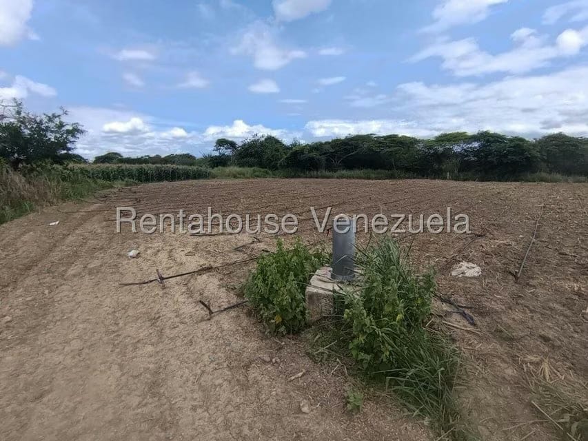Terreno (Finca) en Venta en Parroquia El Cuji, Lara - 17