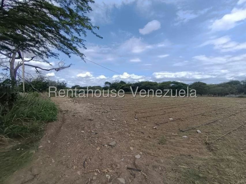 Terreno (Finca) en Venta en Parroquia El Cuji, Lara - 18