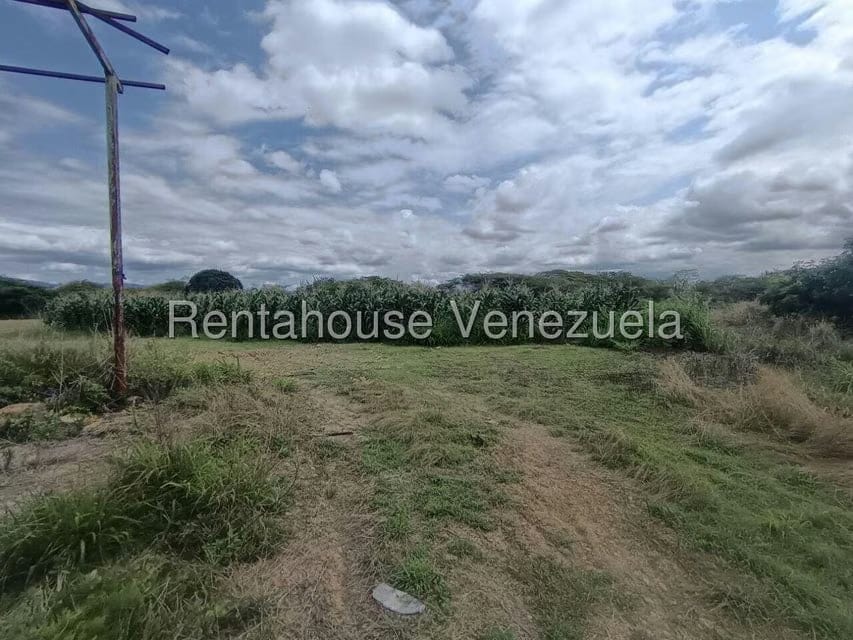 Terreno (Finca) en Venta en Parroquia El Cuji, Lara - 23