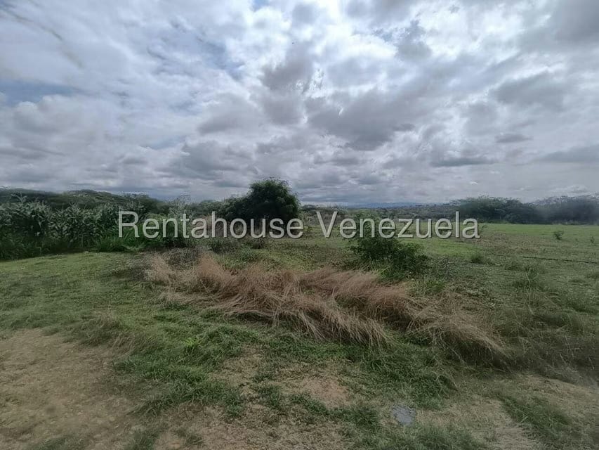 Terreno (Finca) en Venta en Parroquia El Cuji, Lara - 24