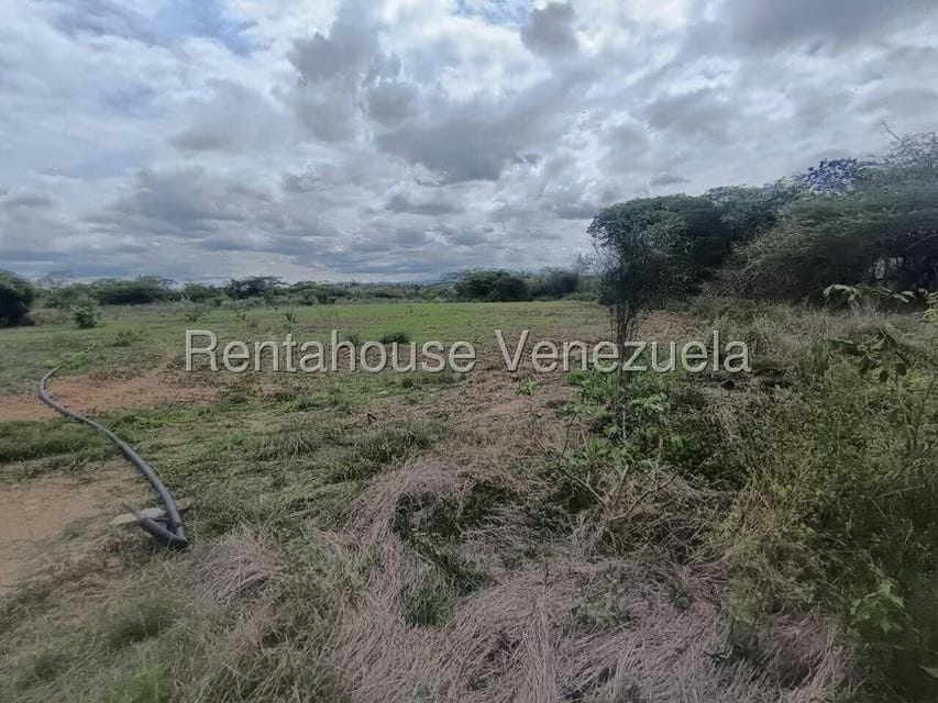 Terreno (Finca) en Venta en Parroquia El Cuji, Lara - 26
