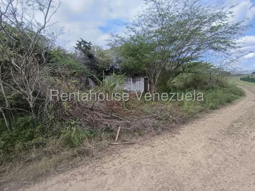 Terreno (Finca) en Venta en Parroquia El Cuji, Lara - 27