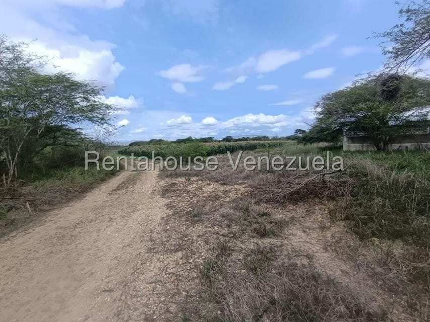 Terreno (Finca) en Venta en Parroquia El Cuji, Lara - 28