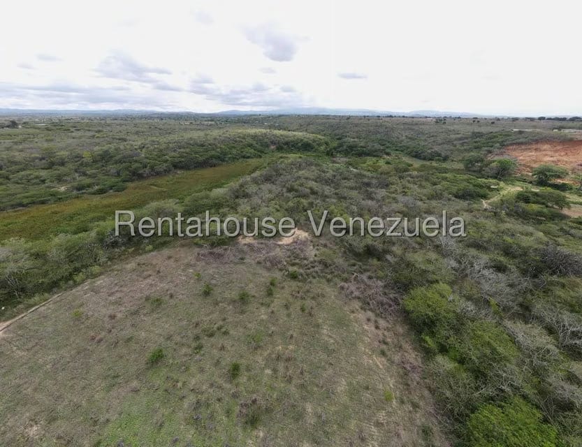 Terreno (Finca) en Venta en Parroquia El Cuji, Lara - 4