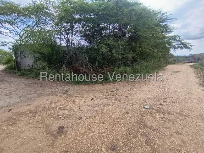 Terreno (Finca) en Venta en Parroquia El Cuji, Lara - 31