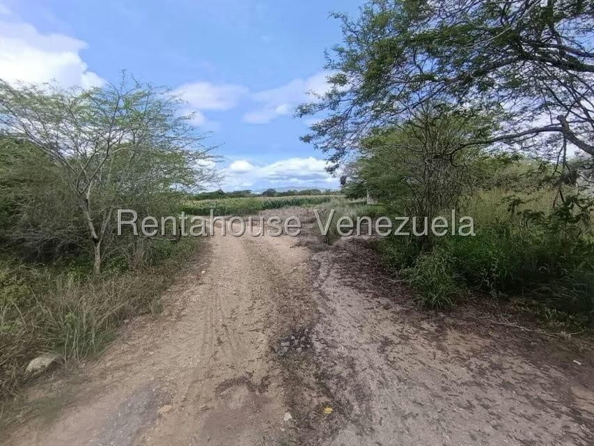 Terreno (Finca) en Venta en Parroquia El Cuji, Lara - 32