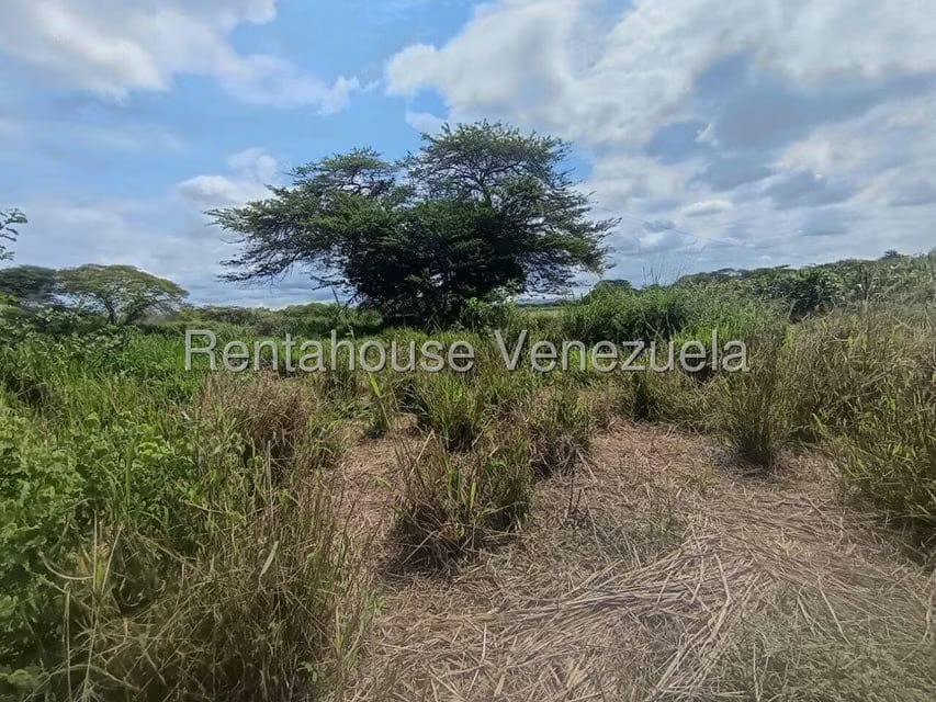 Terreno (Finca) en Venta en Parroquia El Cuji, Lara - 34