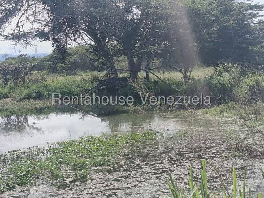 Terreno (Finca) en Venta en Parroquia El Cuji, Lara - 35