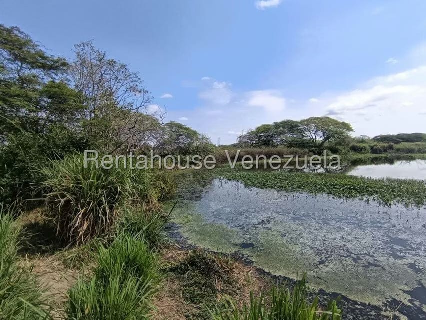 Terreno (Finca) en Venta en Parroquia El Cuji, Lara - 36