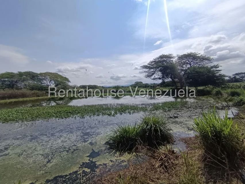 Terreno (Finca) en Venta en Parroquia El Cuji, Lara - 37