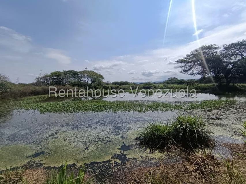 Terreno (Finca) en Venta en Parroquia El Cuji, Lara - 38