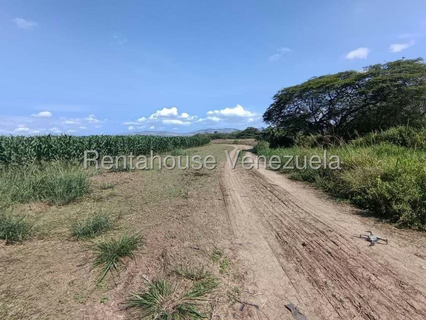 Terreno (Finca) en Venta en Parroquia El Cuji, Lara - 39