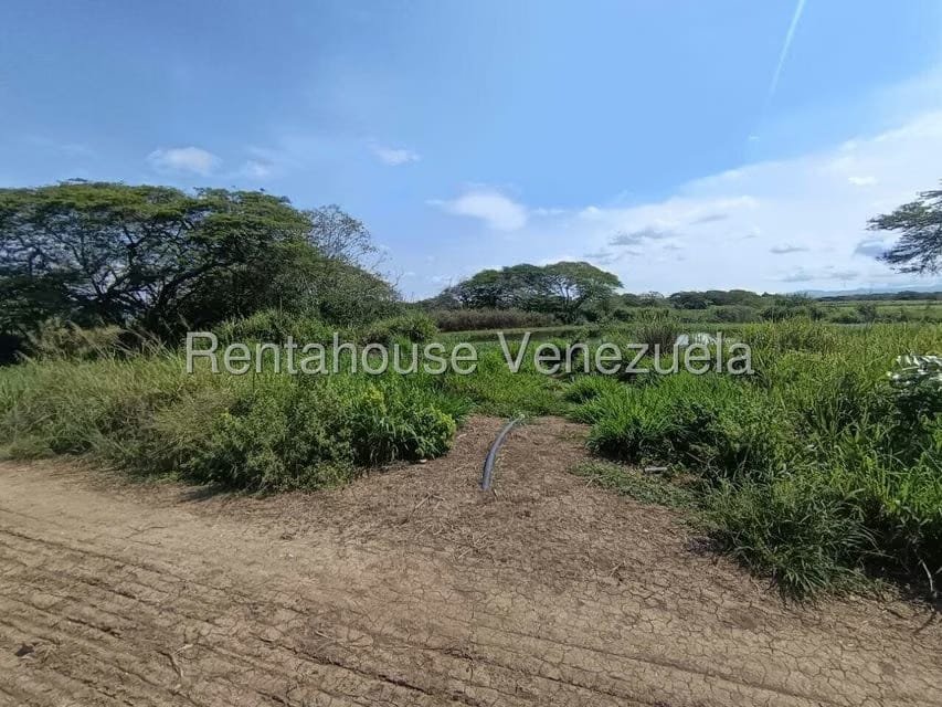 Terreno (Finca) en Venta en Parroquia El Cuji, Lara - 40