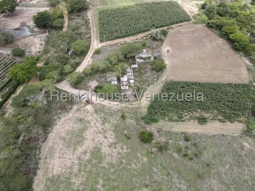 Terreno (Finca) en Venta en Parroquia El Cuji, Lara - 5