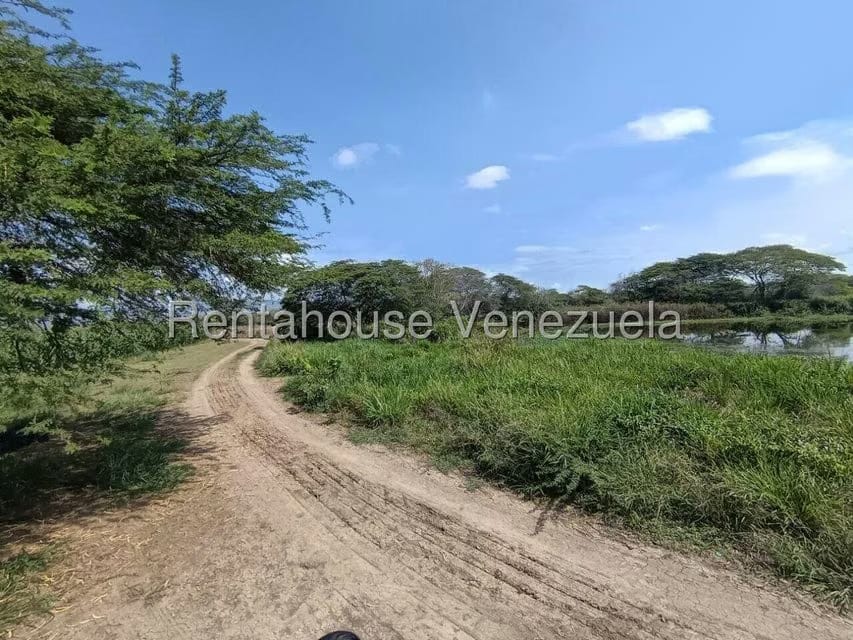 Terreno (Finca) en Venta en Parroquia El Cuji, Lara - 41