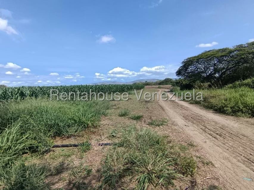 Terreno (Finca) en Venta en Parroquia El Cuji, Lara - 42