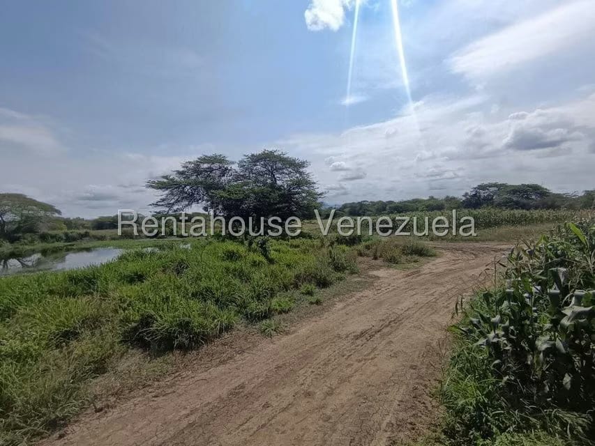 Terreno (Finca) en Venta en Parroquia El Cuji, Lara - 43