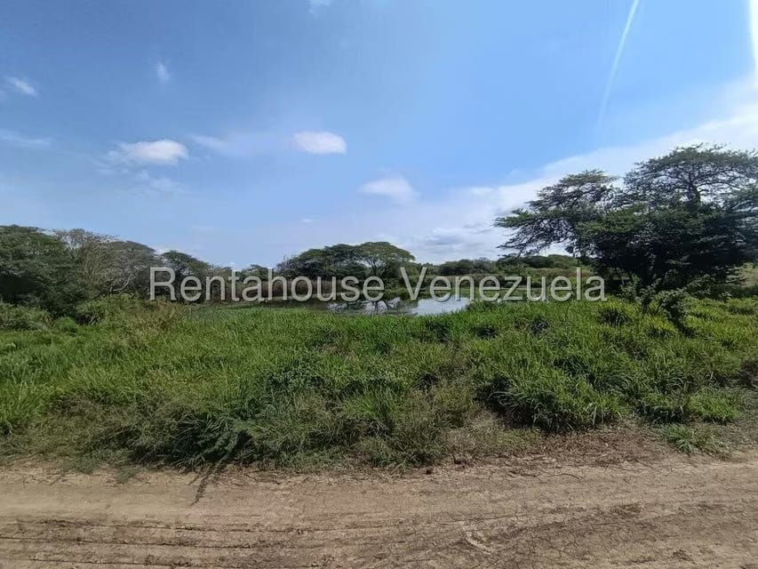 Terreno (Finca) en Venta en Parroquia El Cuji, Lara - 44