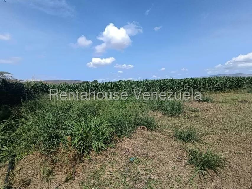 Terreno (Finca) en Venta en Parroquia El Cuji, Lara - 45