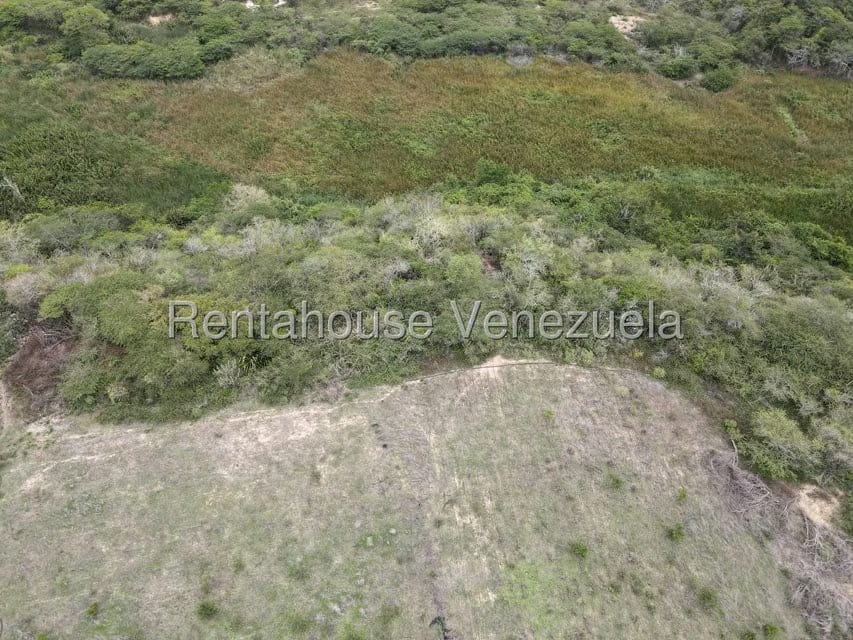 Terreno (Finca) en Venta en Parroquia El Cuji, Lara - 6