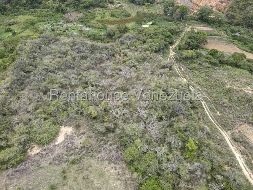 Terreno (Finca) en Venta en Parroquia El Cuji, Lara - 7