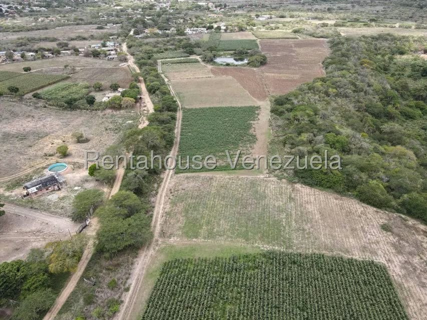 Terreno (Finca) en Venta en Parroquia El Cuji, Lara - 10