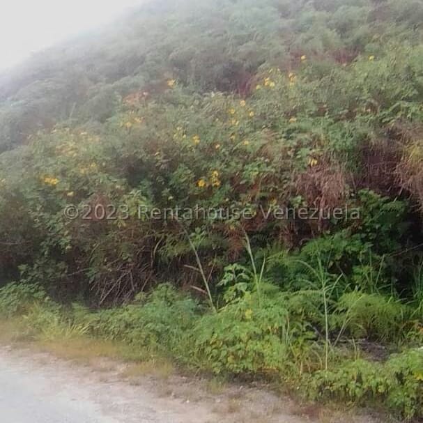 Terreno (Comercial) en Venta en Municipio Guaicaipuro, Miranda - 7