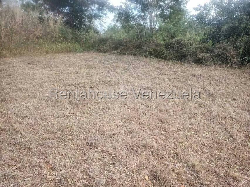 Terreno (Comercial) en Venta en La Mata, Lara - 2