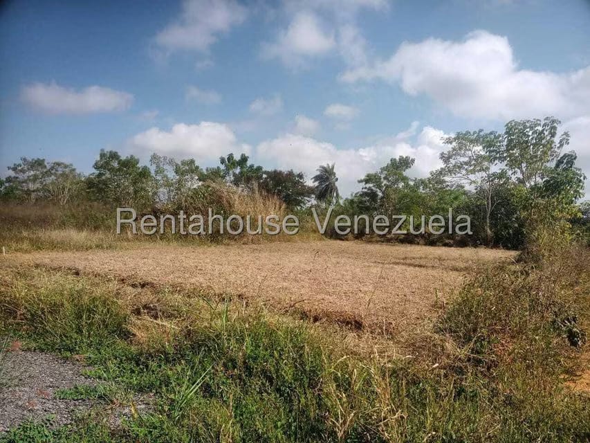 Terreno (Comercial) en Venta en La Mata, Lara - 11