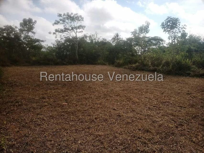 Terreno (Comercial) en Venta en La Mata, Lara - 6